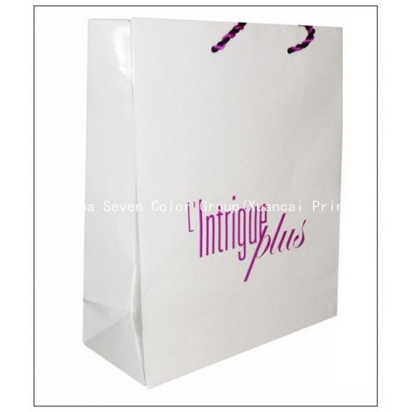 Luxury Fashion Brand White Shopping Paper Bag 